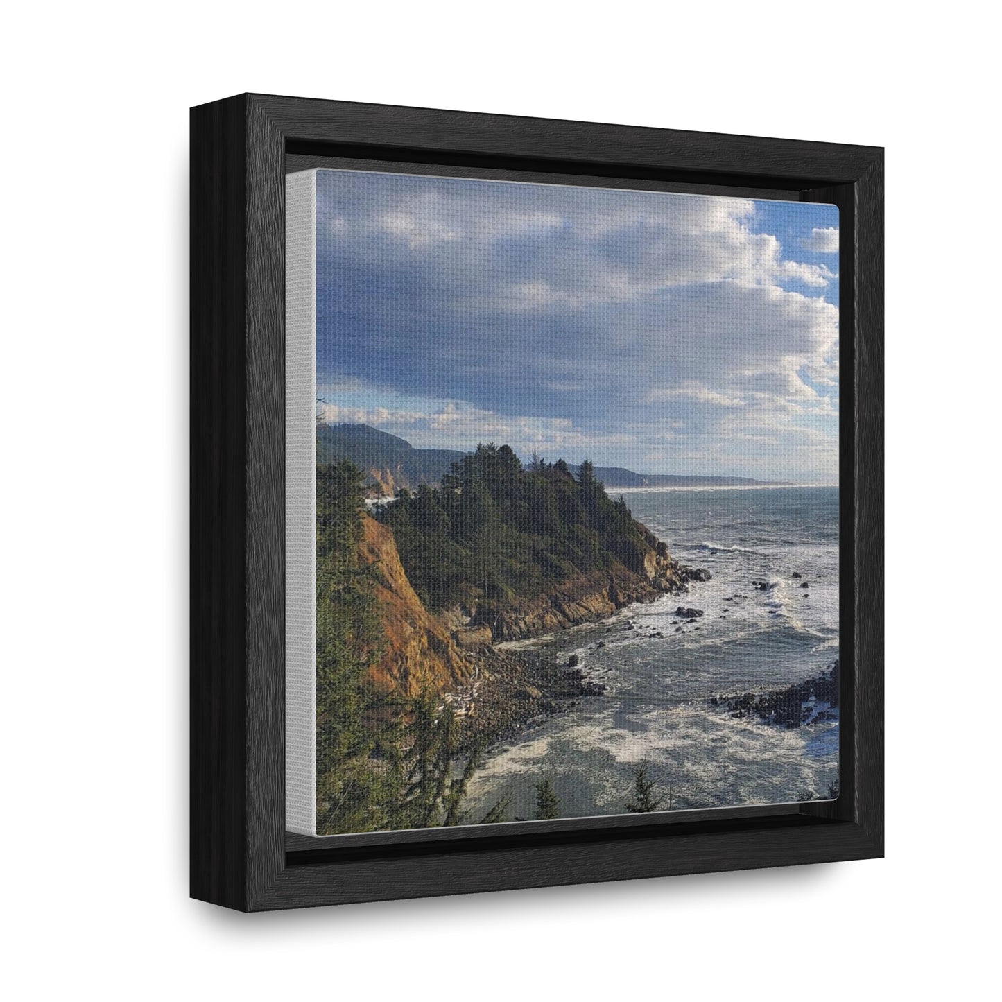 Cape Arago State Park, Oregon Canvas Print