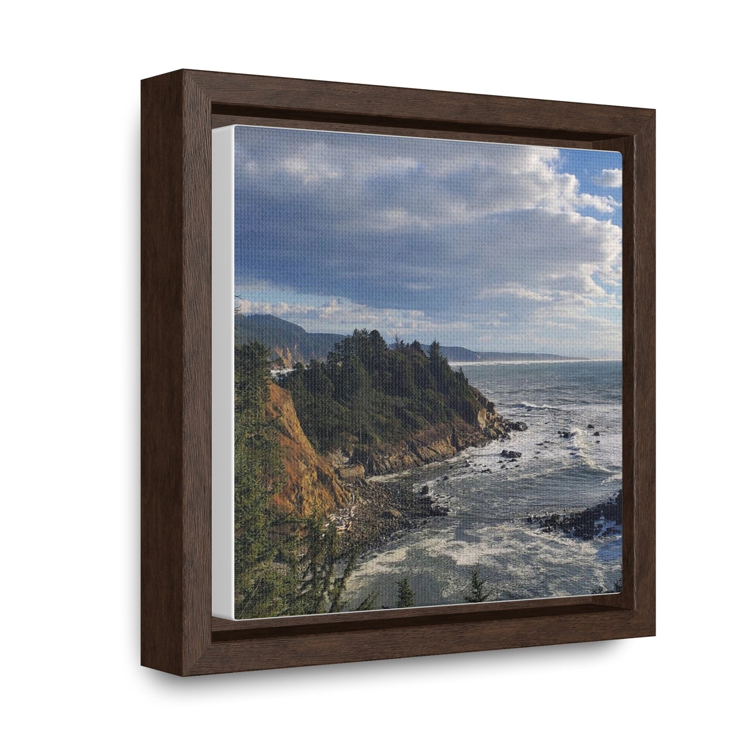 Cape Arago State Park, Oregon Canvas Print